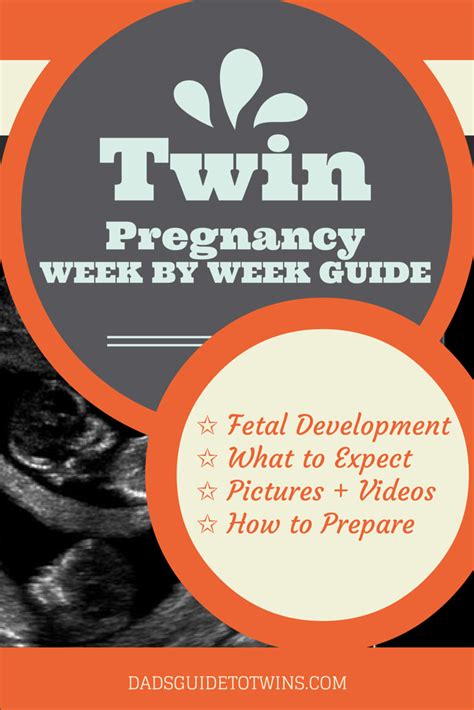 Pin On Twin Pregnancy Week By Week