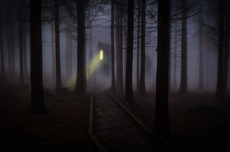 Free Images Forest Fog Mist Night House Sunlight Morning