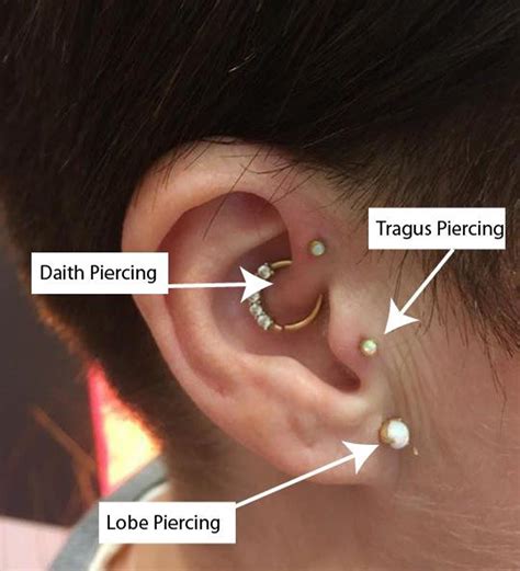 What Is The Difference Between A Tragus And A Daith Piercing