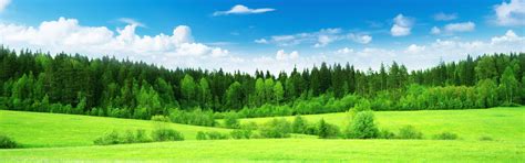 바탕 화면 다운로드 3840x1200 아름다운 자연 풍경 필드 푸른 잔디 나무 멀티 모니터 파노라마 Hd 배경