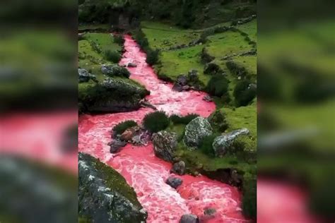 秘鲁库斯科的红河，蜿蜒5公里，每当雨季来临，雨水就会将附近彩虹山上富含氧化铁的红色砂岩冲下山坡，汇入河中，从而创造出梦幻的粉红色河流。河中红色雨水