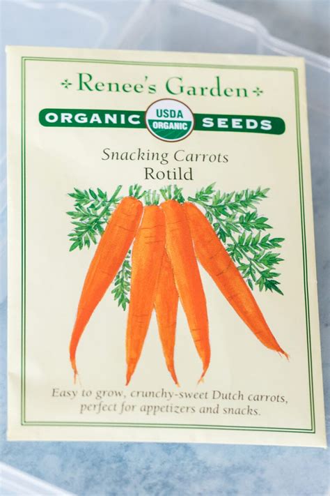 How To Grow Carrots Know Your Produce