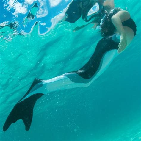 Orca Mermaid Tail For Swimming Orca Merman Swimmable Tail Fin Fun
