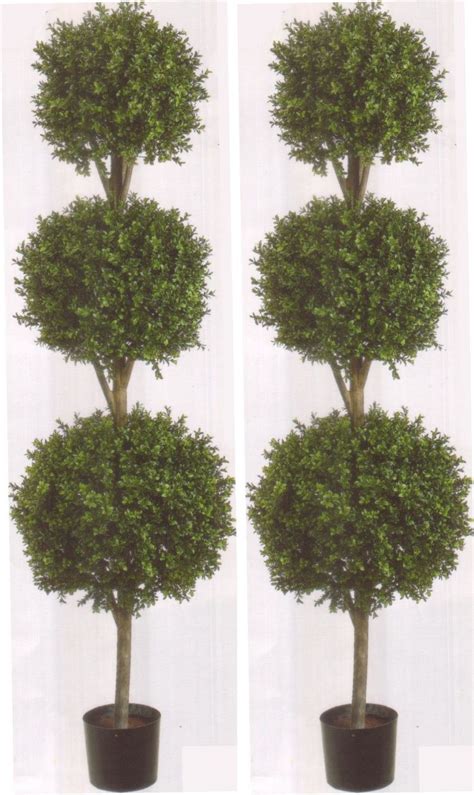 Artificial Boxwood Triple Ball Topiary Trees 78 Inch Tall Two Potted Uv