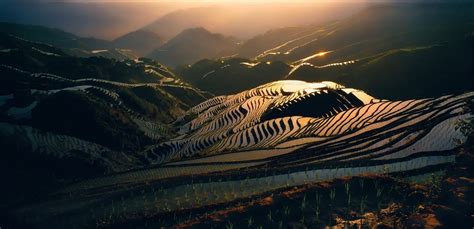 Landscape Nature Sunrise Field Rice Paddy Mist Hills Sunlight