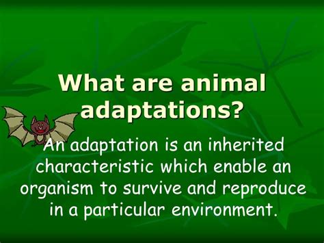 How Animals Adapt To Different Environments Blog Adviser