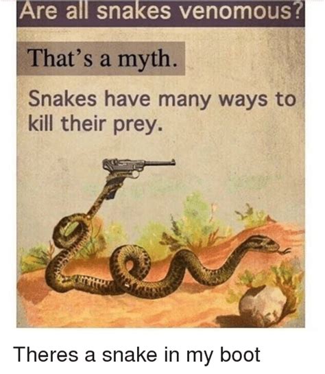 Are All Snakes Venomous Thats A Myth Snakes Have Many Ways To Kill