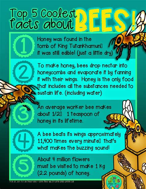 Top 5 Coolest Facts About Honey Bees Buuuzzzzzz
