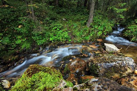 River Stream Trees Rocks Vomp Austria Tyrol Wallpapers Hd