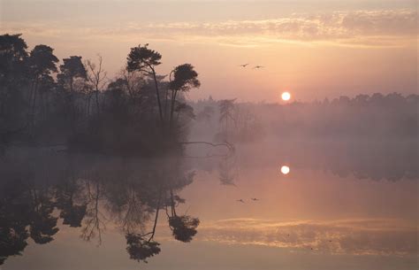 Morning Mist Wallpapers Wallpaper Cave