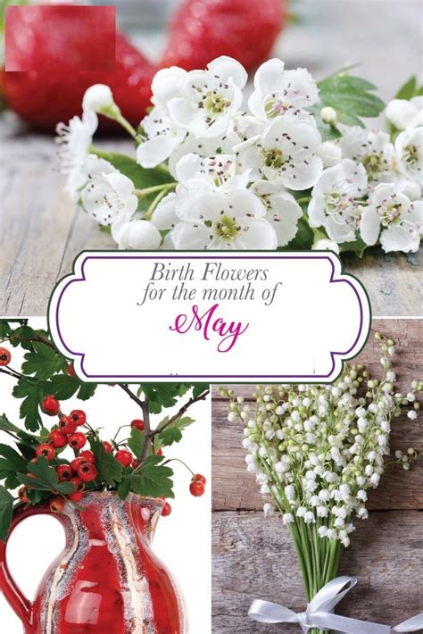 May Birth Flower Birth Flower For May Month Oppidan Library