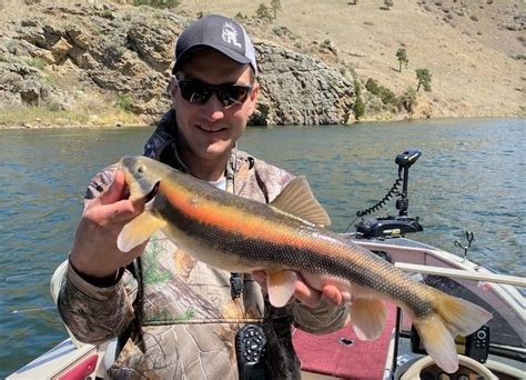 2nd Record Breaking Fish Pulled From Holter Reservoir In Less Than A