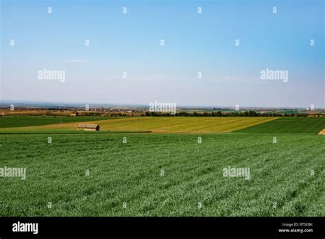 Beautiful Arable Land In Vojvodina Orchards And Agricultural Land Near