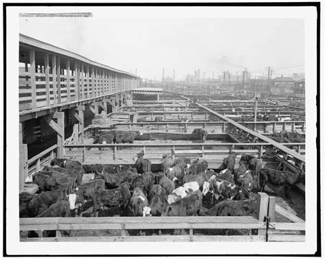 Stockyards Kansas City Missouri 1906 Kansascity