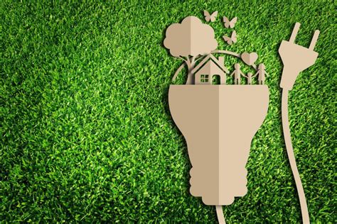 6 Effective Ways To Live An Eco Friendly Lifestyle In 2020 Haultail