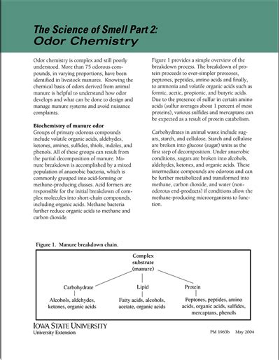 odor chemistry the science of smell part 2