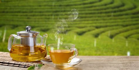 Pure Ceylon Tea Worlds Finest Tea From Sri Lanka Edb Sri Lanka