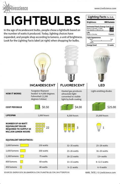 Look at your fixture to determine its base type. Infographic: Facts about different types of light bulbs, | Bulb, Led light design, Types of lighting