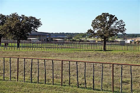 Photo Gallery 5 618 Acre Gch Horse And Cattle Ranch Sold North