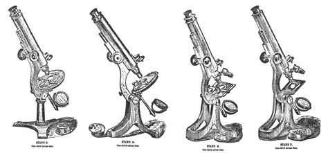 'EVOLUTION OF WALTER BULLOCH MICROSCOPES'