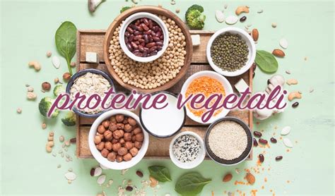 Il soggetto che consuma le 5 porzioni di frutta/verdura giornaliere consigliate si assicura anche da queste un apporto non trascurabile, così come anche da latte (anche in forma vegetale), frutta secca a guscio, semi, germogli, … Proteine Vegetali: quali sono gli alimenti che ne ...