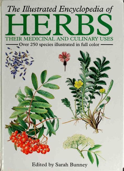 The Illustrated Encyclopedia Of Herbs By Dorset Presspdf Herbalism
