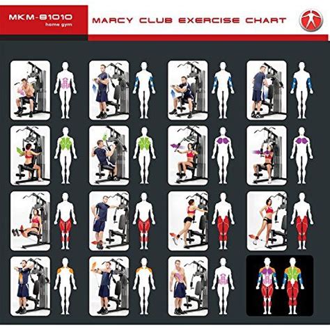 Marcy Platinum Home Gym Workout Plan Lovely Total Gym Full Body True Marcy Home Gym Workouts
