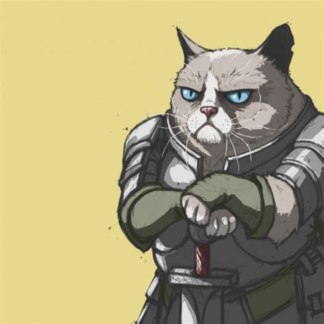 512x512 Grumpy Cat Armor Meme 512x512 Resolution Wallpaper Hd Vector