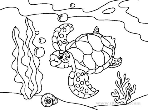 Cute Sea Animal Coloring Pages At Free Printable