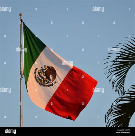 Mexican Flag Hi Res Stock Photography And Images Alamy