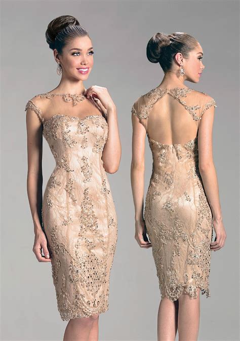 gorgeous knee length cocktail dress in champagne sheer collar with delicate embroidery and an