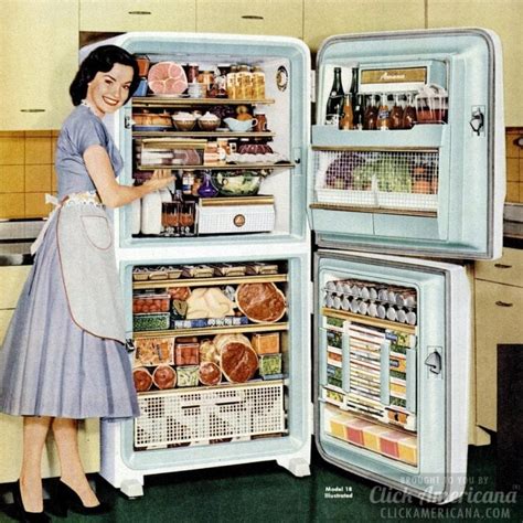 How To Be A Perfect 50s Housewife Love Your Refrigerator Click