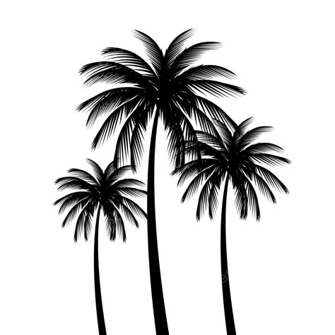 Small Palm Tree Silhouette PNG Transparent, Detailed Palm Tree Vector