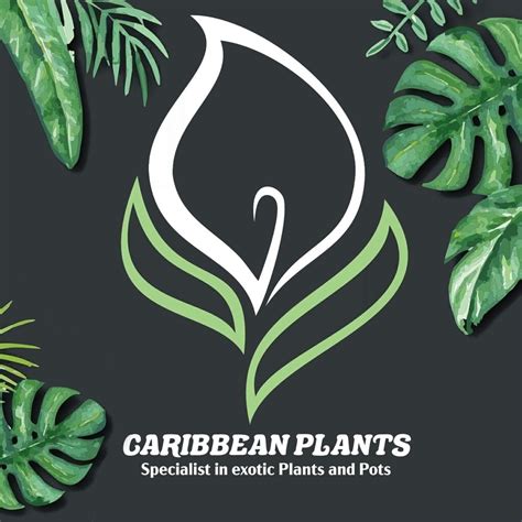 Plant Nurseries In Barbados Fruits Veg Decorative Locate Barbados