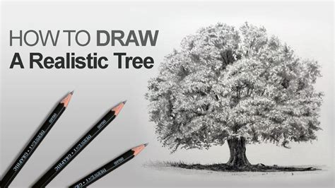 How To Draw A Realistic Tree Using A Structured Approach Realistic