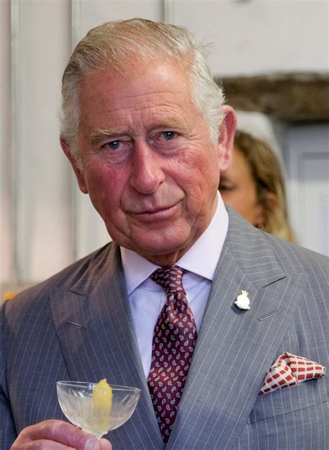 Prince Charles Duke Of Wales