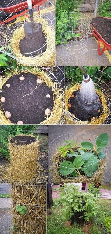 How To Build A Potato Tower 101 Gardening