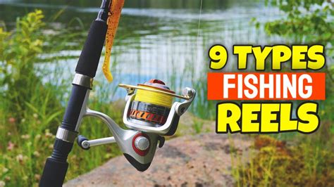 Types Of Fishing Reel Different Types Of Fishing Reels Explained