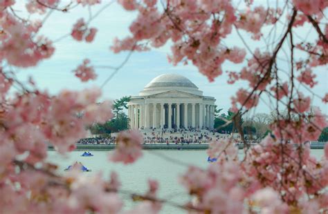 Cherry Blossom Festival 2019 Philadelphia