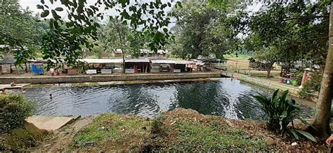 Orchid forest cikole lembang destinasi baru bandung yang instagramable. Curug Bandung Kutasari : Istimewanya 38 Tempat Wisata Di Purbalingga Paling Terkenal / Cuaca di ...
