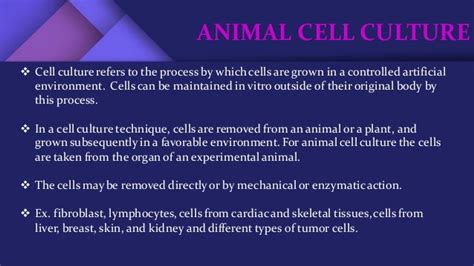 Animal Cell Culture Basics