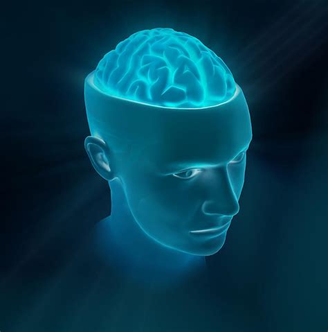 Human Brain Artwork Digital Art By Andrzej Wojcicki