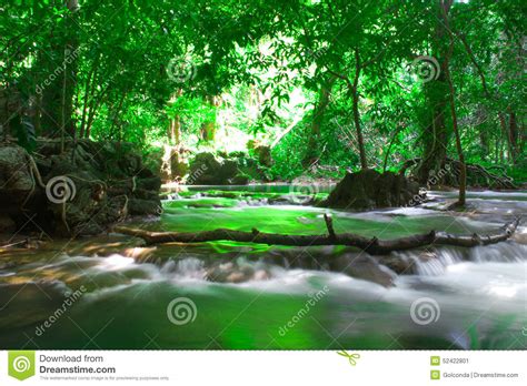 Andaman Thailand Outdoor Photography Of Waterfall In Rain Jungle Forest Trees Phuket Stock