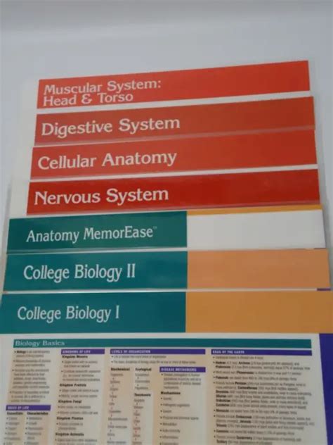Lot Of 7 Double Sided Laminated Anatomy Biology Quick Study Reference