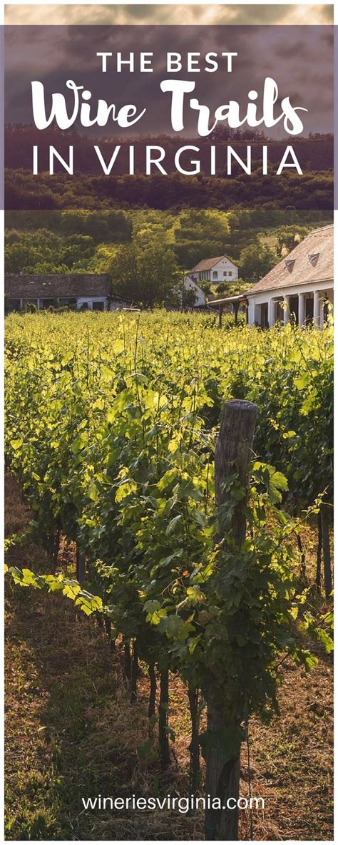 Discover Virginias Finest Wine Trails