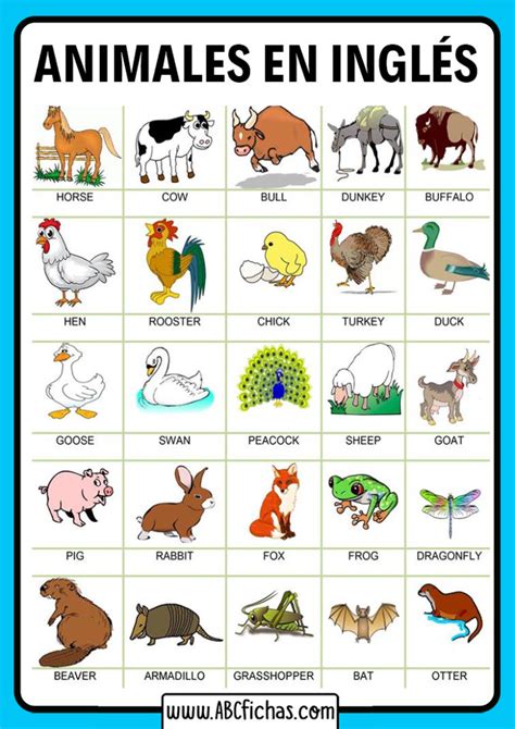 Vocabulario De Los Animales En Inglés Para Niños