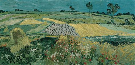 Wheat Fields Near Auvers By Vincent Van Gogh