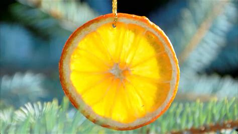 Jak suszyć plasterki pomarańczy? - YouTube