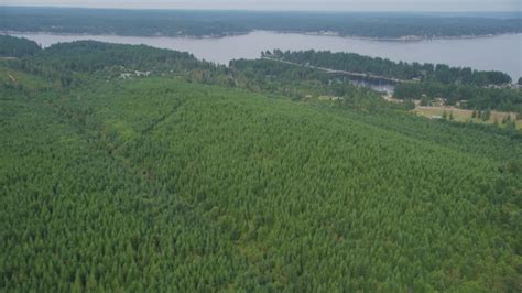 5k Aerial Video Fly Over Evergreen Forest To Approach Reach Island And