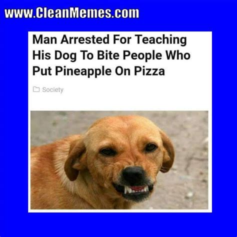 Fur will fly.boop!aw.let's just try a few!angry.he wants his. 8765 best Clean Memes images on Pinterest | Clean memes ...